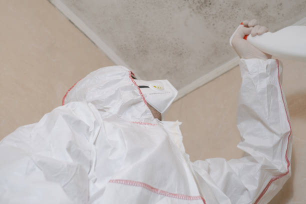 Best Professional Mold Removal  in Yuba City, CA