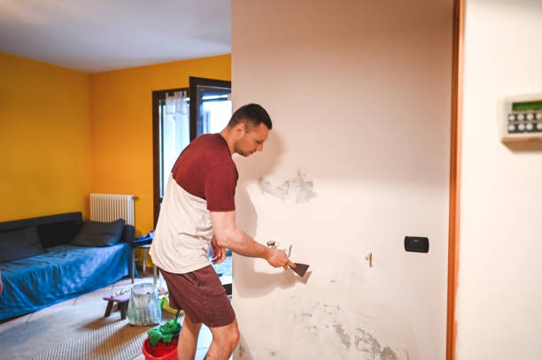 Best Toxic Mold Removal  in Yuba City, CA