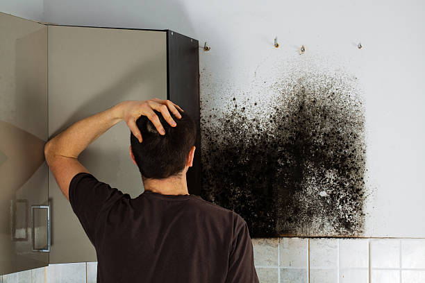 Best Certified Mold Removal  in Yuba City, CA